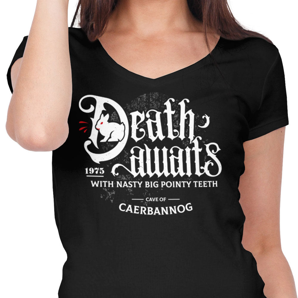 Death Awaits - Women's V-Neck product image 4
