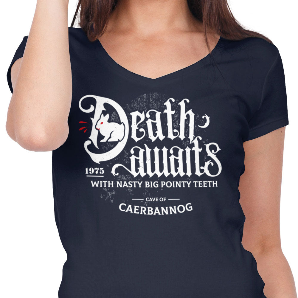 Death Awaits - Women's V-Neck product image 5