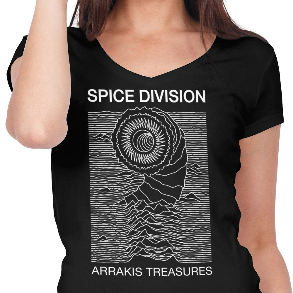 Spice Division - Women's V-Neck product image 3