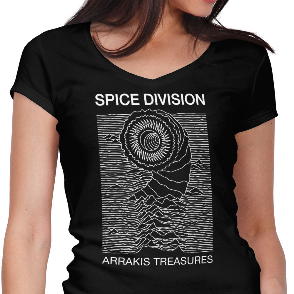 Spice Division - Women's V-Neck product image 1