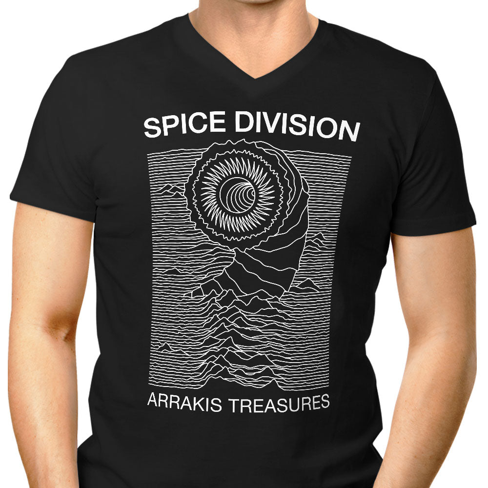 Spice Division - Men's V-Neck product image 1