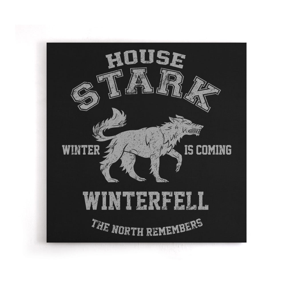 Winter is Coming - Canvas Print
