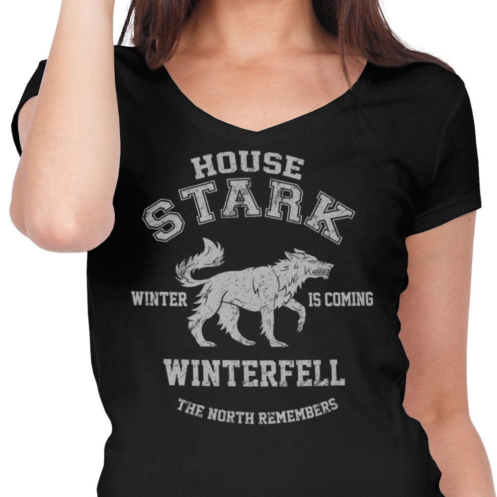 Winter is Coming - Women's V-Neck product image 4