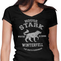Winter is Coming - Women's V-Neck product image 1