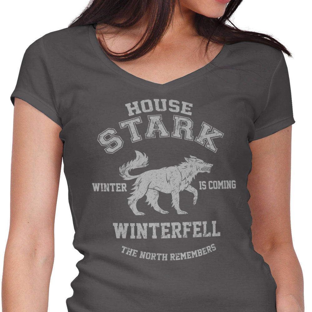 Winter is Coming - Women's V-Neck product image 3