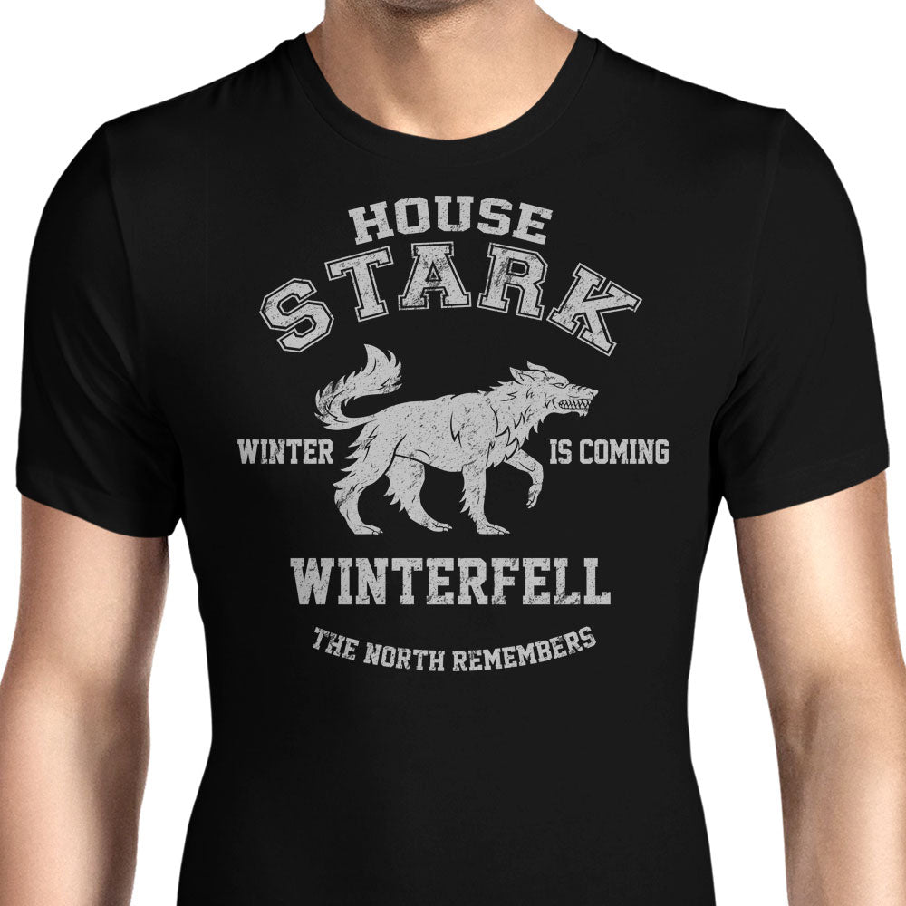 Winter is Coming - Men's Apparel product image 1