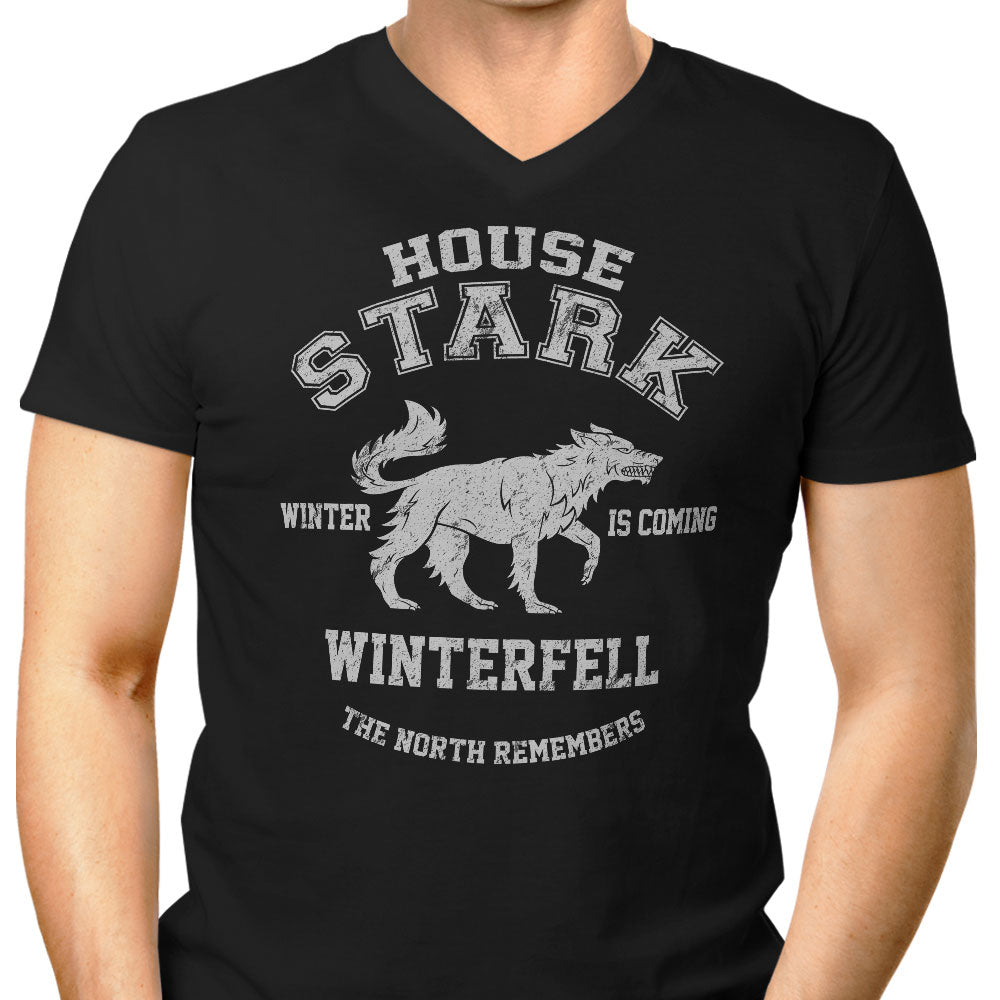 Winter is Coming - Men's V-Neck product image 1