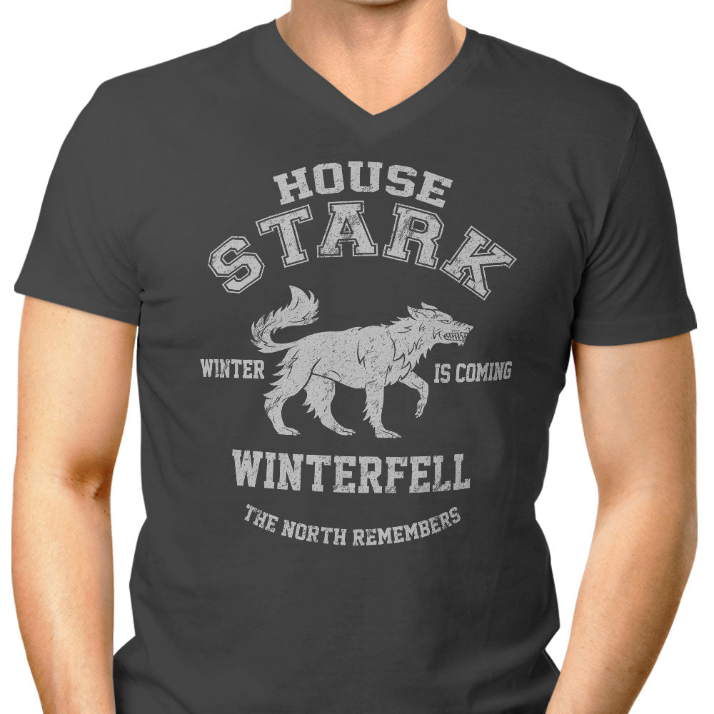 Winter is Coming - Men's V-Neck product image 3
