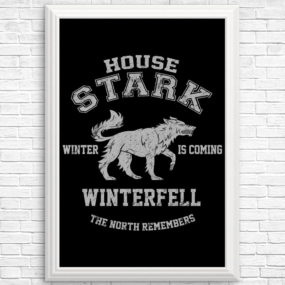 Winter is Coming - Posters & Prints
