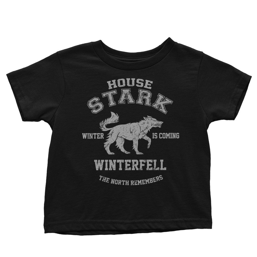 Winter is Coming - Youth Apparel product image 3