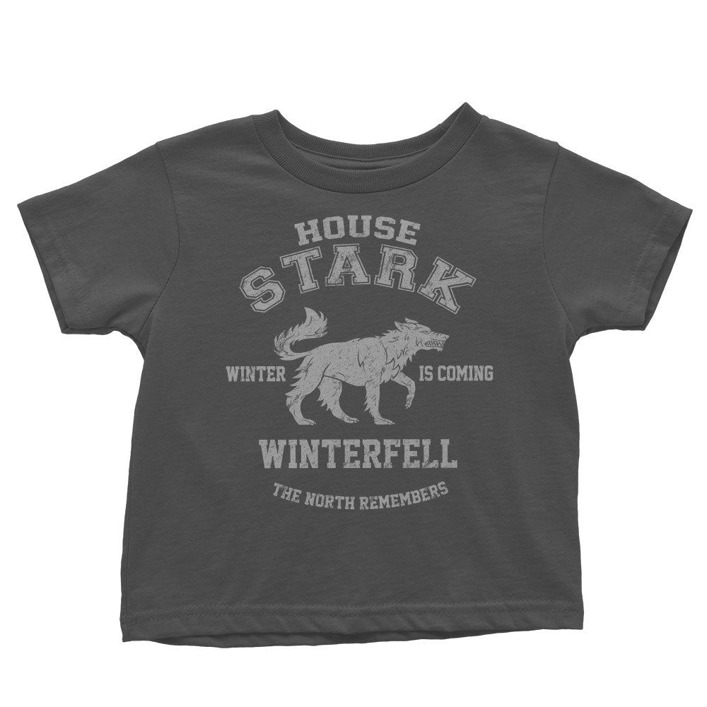 Winter is Coming - Youth Apparel product image 4