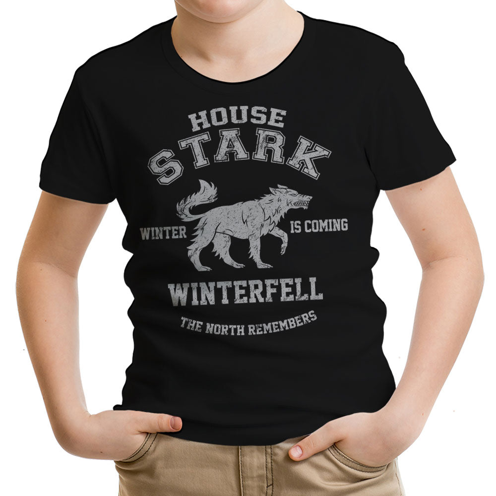 Winter is Coming - Youth Apparel product image 1