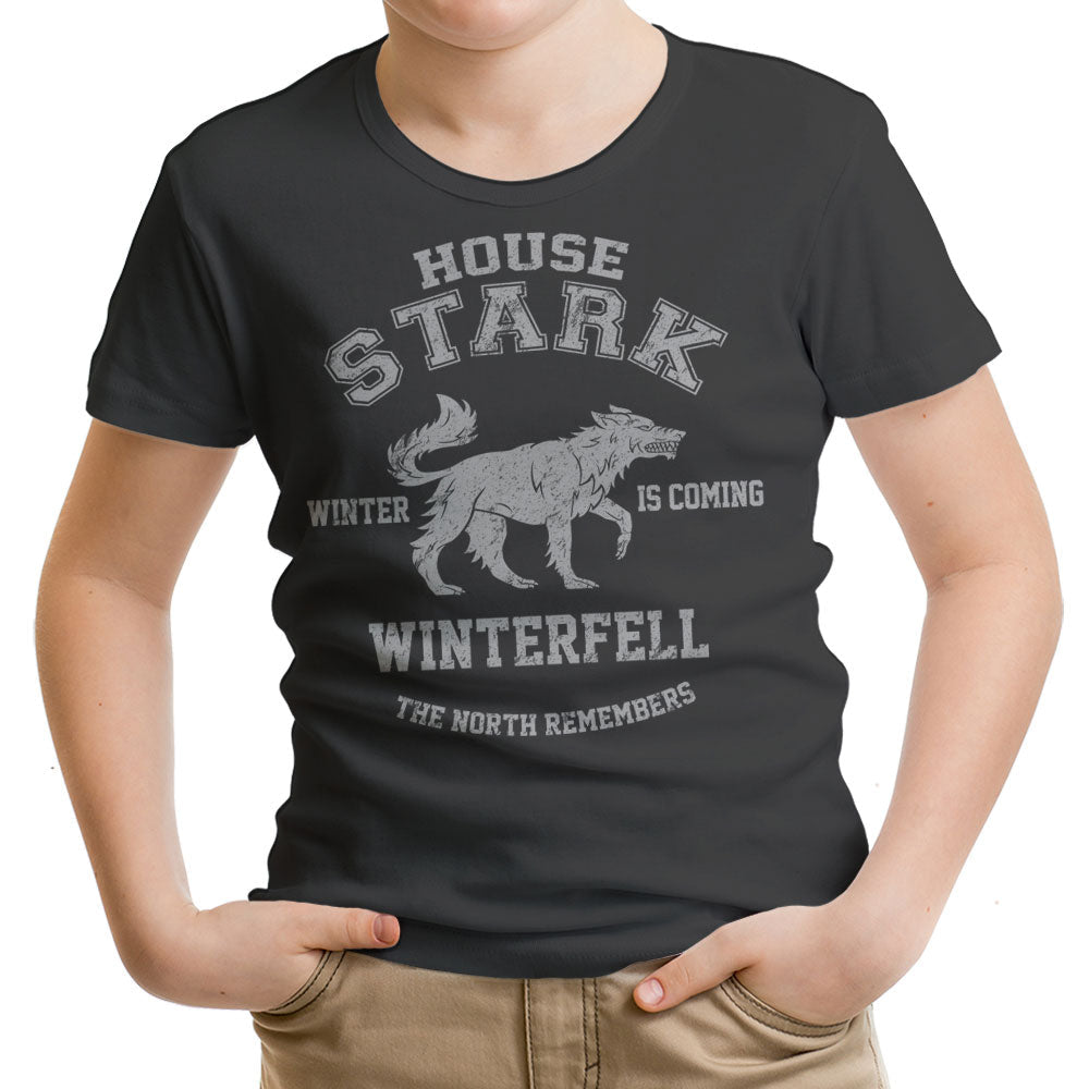 Winter is Coming - Youth Apparel product image 2