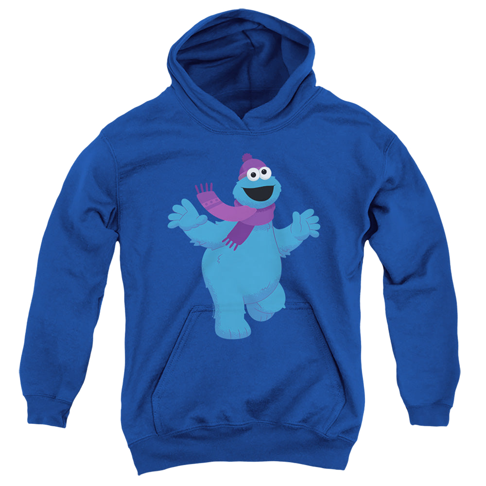 Sesame Street Furry Friends Forever! Cookie Monster - Youth product image 1