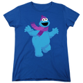 Sesame Street Furry Friends Forever! Cookie Monster product image 1